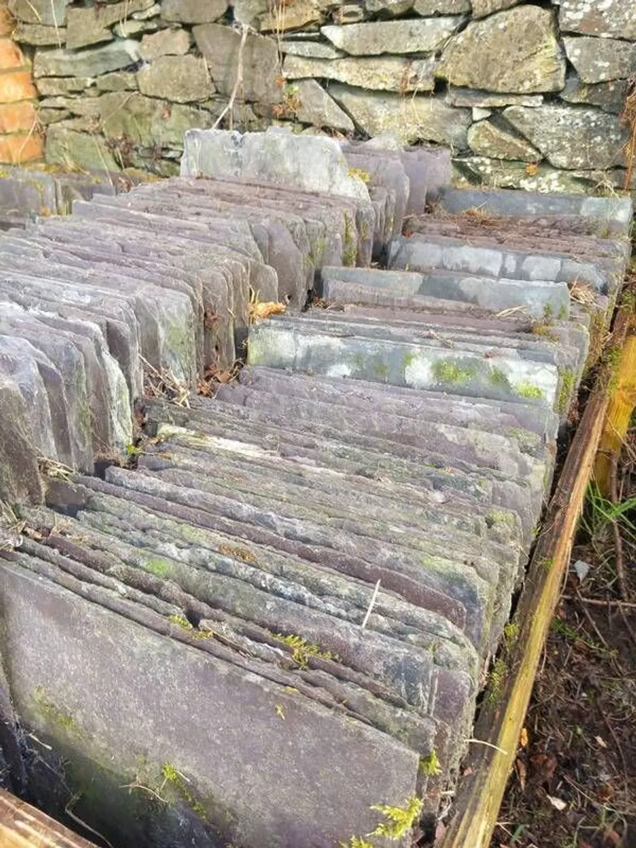Blue Bangor slates - Image 3