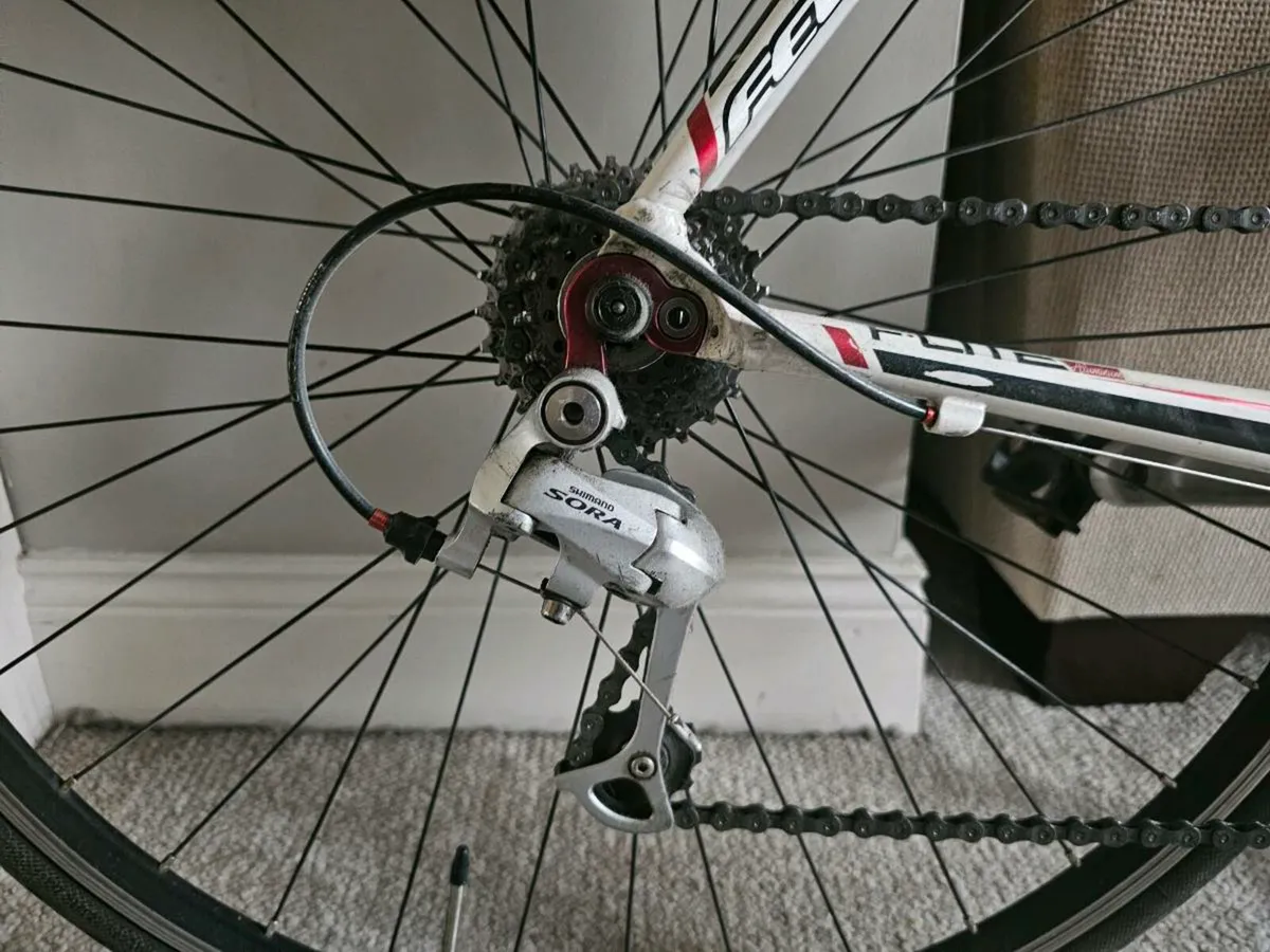 Felt z100 road bike - Image 3