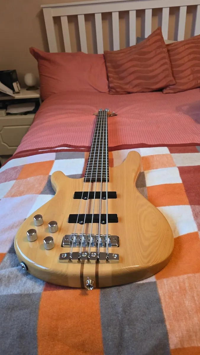 Left-Handed 5-String Bass Guitar (Douglas WPB‑955T - Image 2