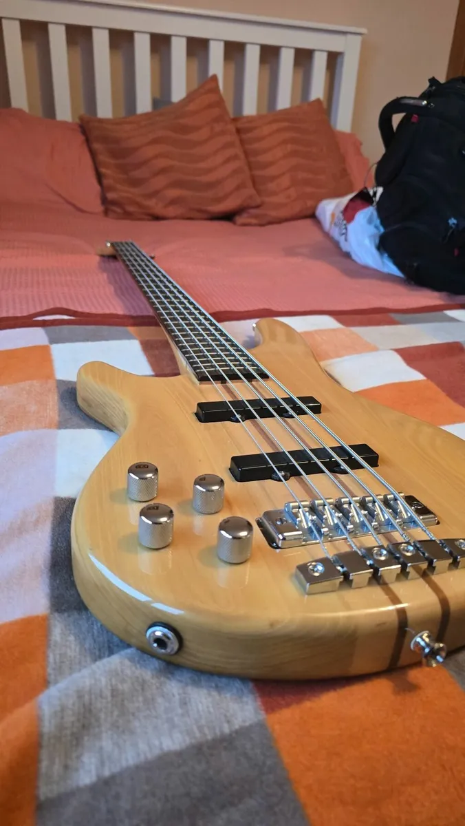Left-Handed 5-String Bass Guitar (Douglas WPB‑955T - Image 3