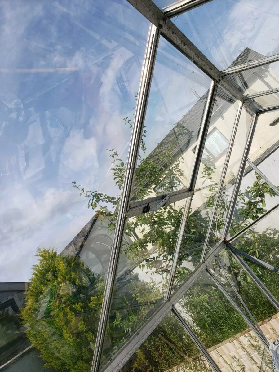 Glass house spotless glasses - Image 2