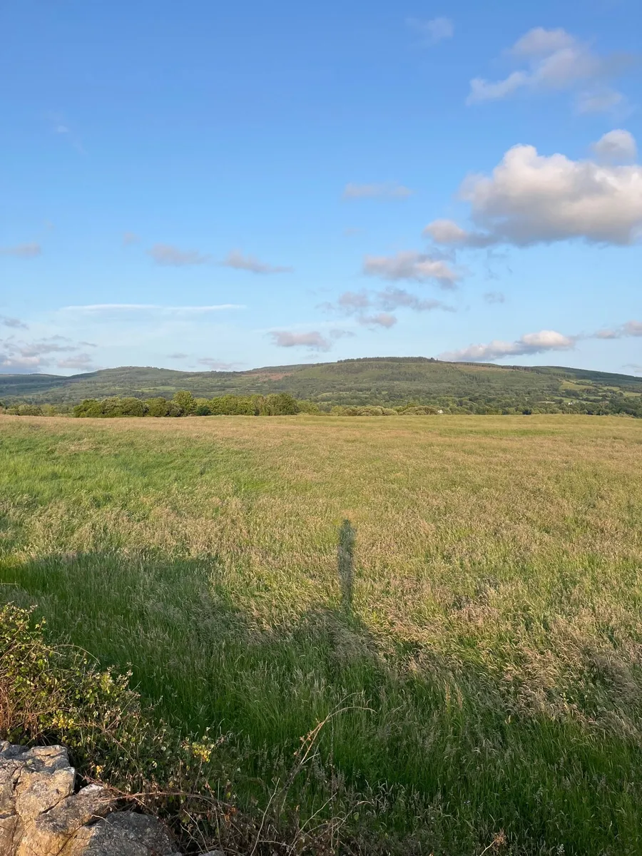 Silage