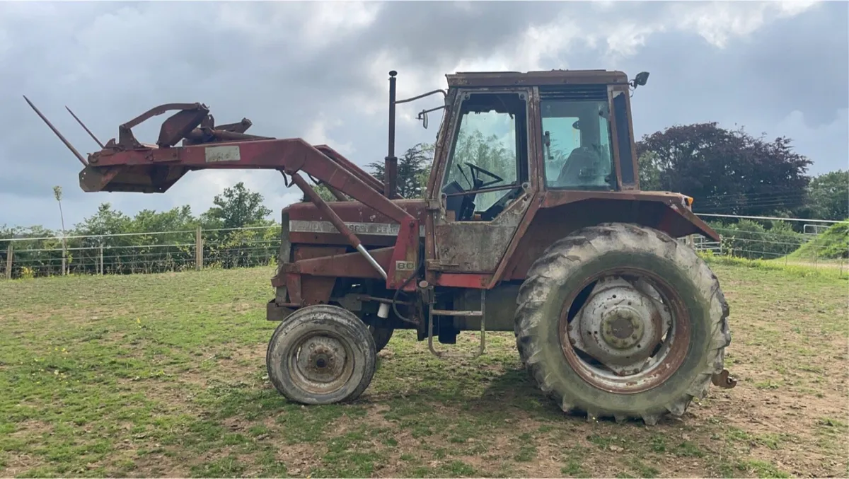 MASSEY 690 & LOADER