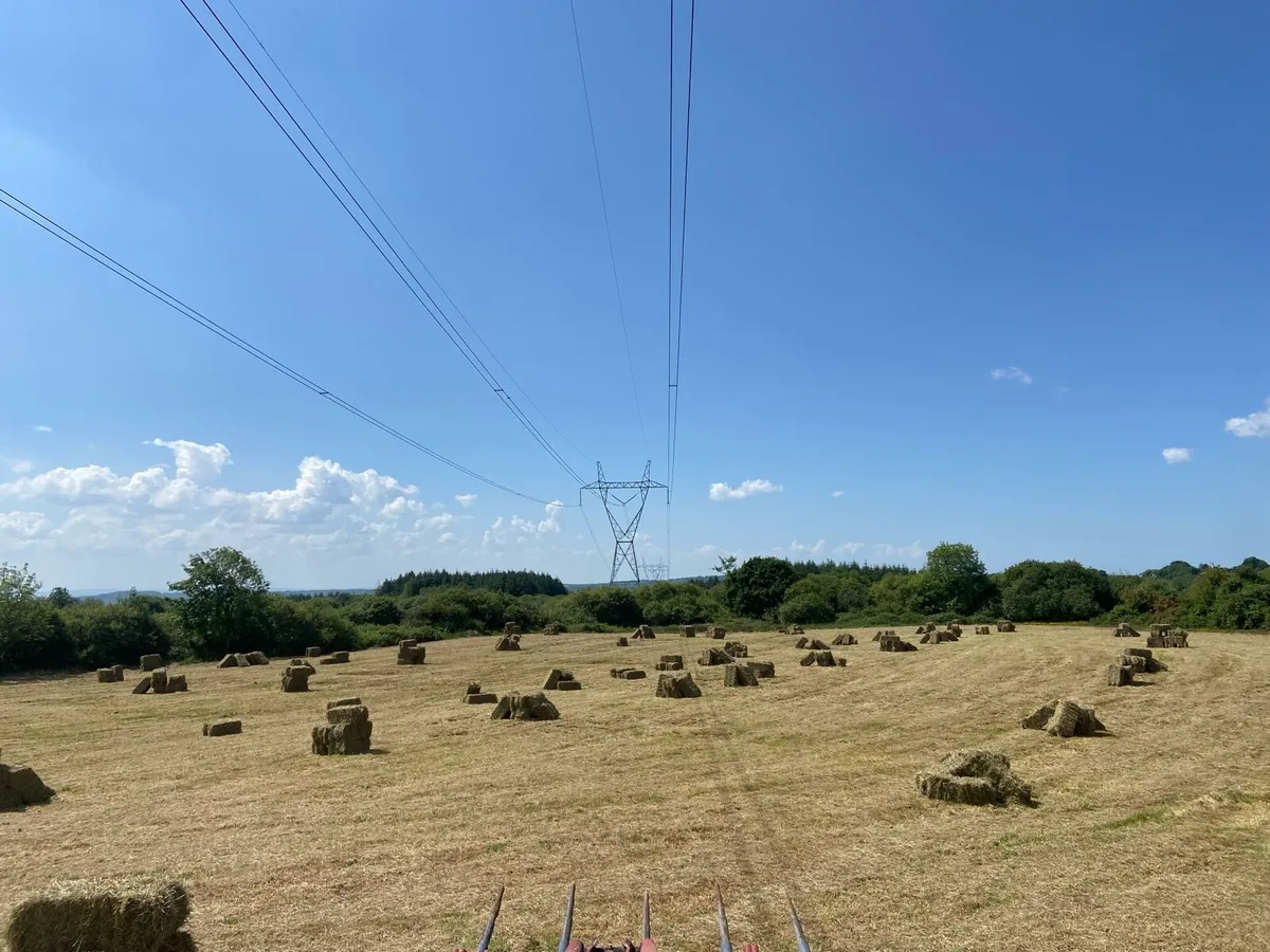 Square bales of hay - Image 3