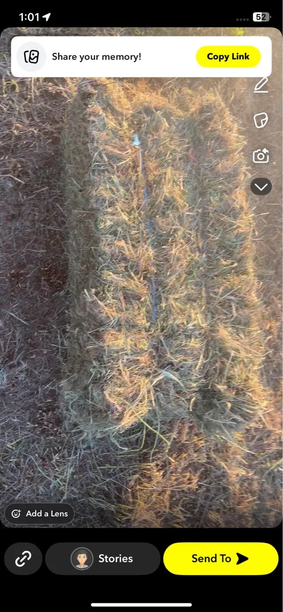 Square bales of hay - Image 4