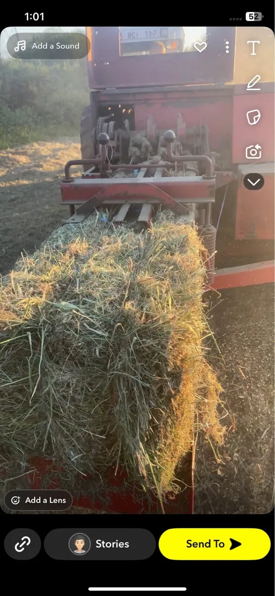 Square bales of hay - Image 2