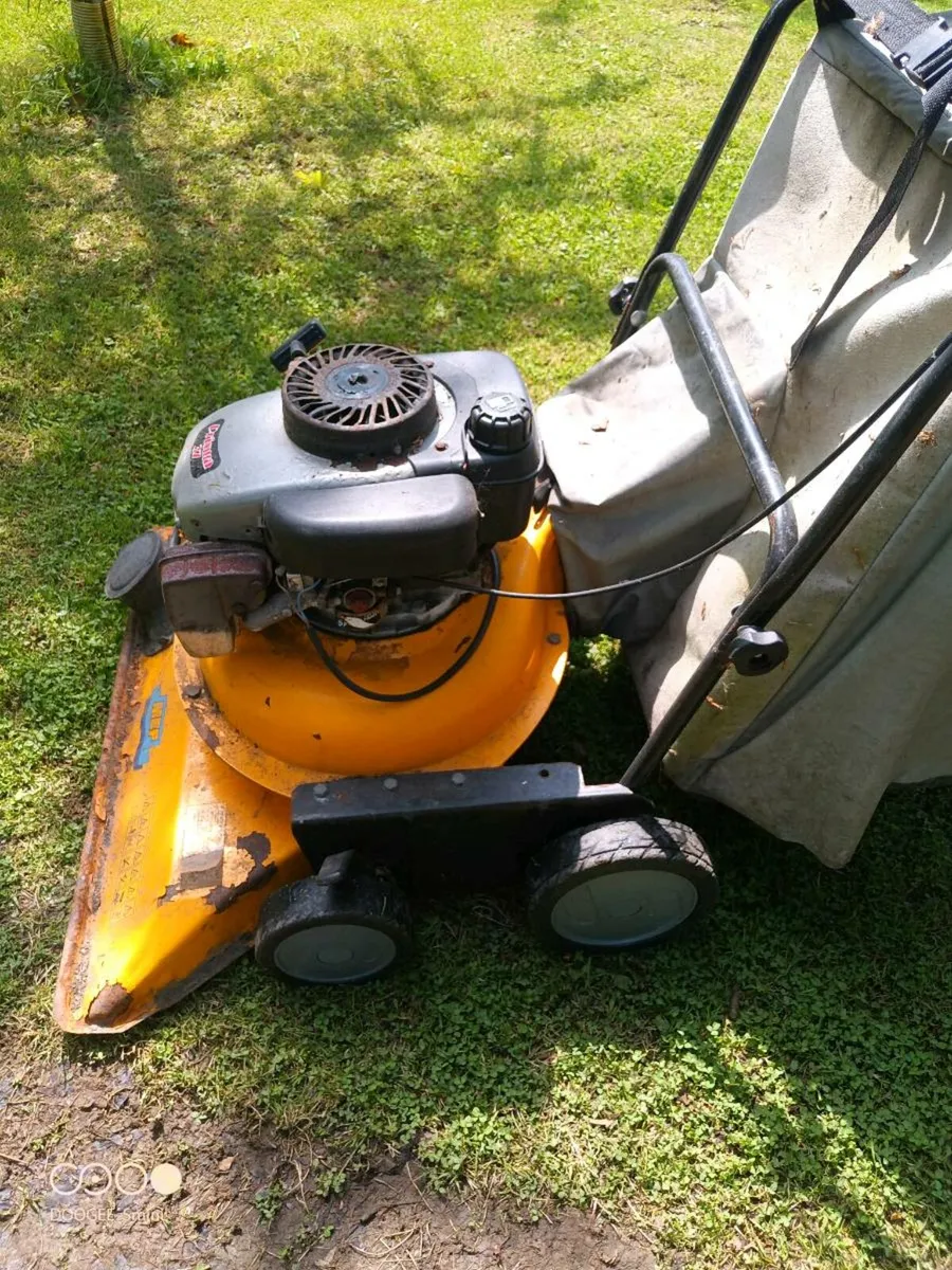 Lawn Vacuum - Image 1
