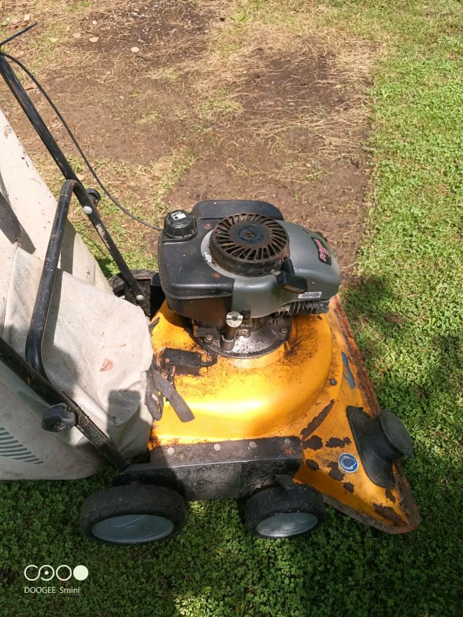 Lawn Vacuum - Image 2