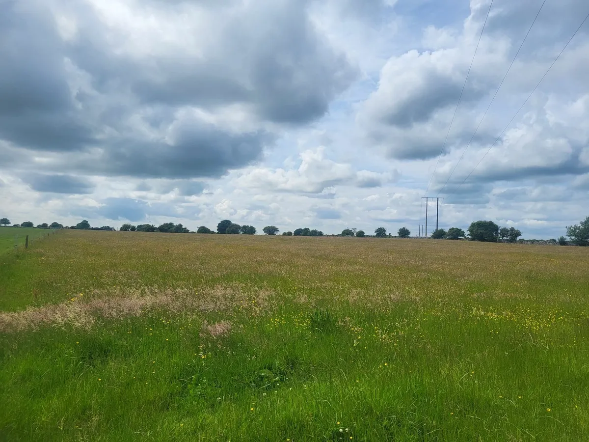 Silage ground - Image 1