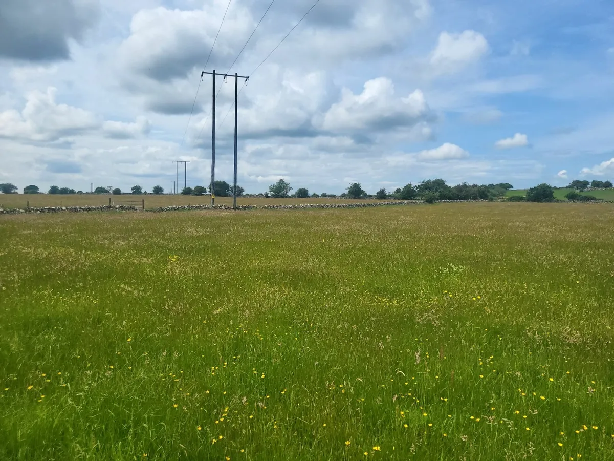Silage ground - Image 2