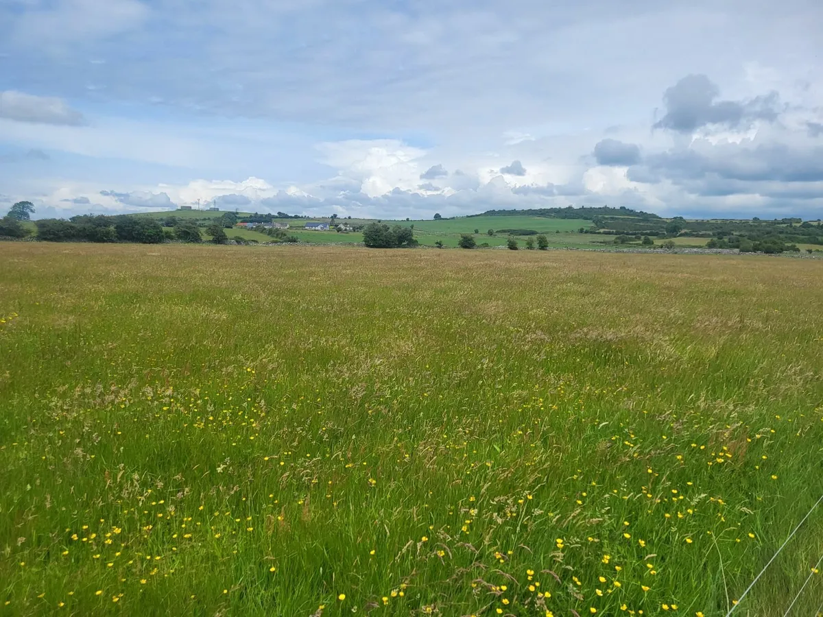Silage ground - Image 3