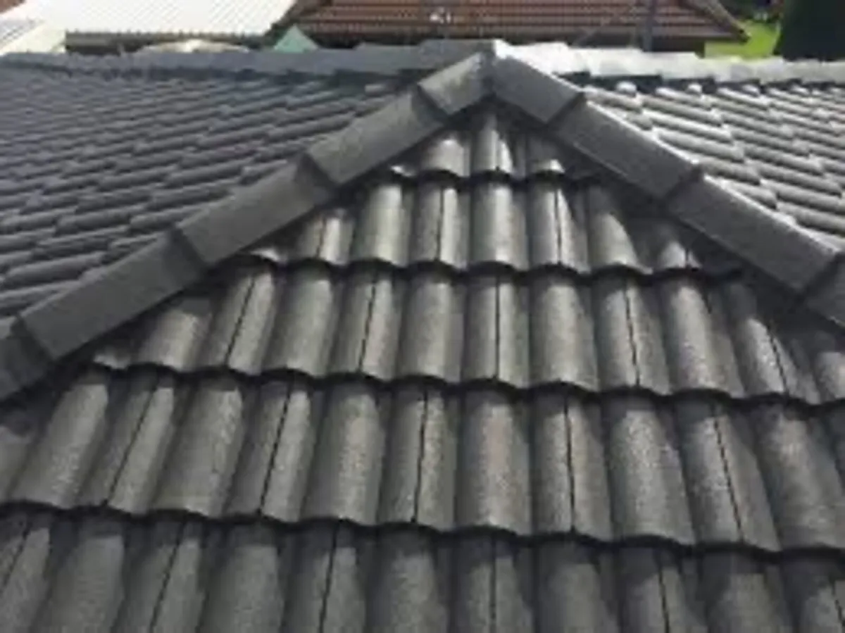 Roof/driveway paint - Image 4