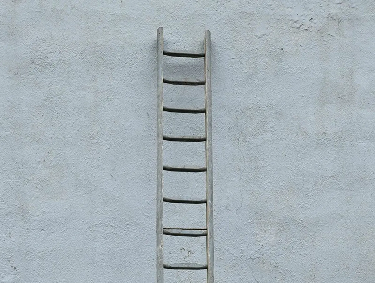 12' Ladder - Image 1