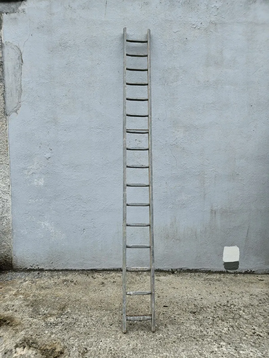 12' Ladder - Image 2
