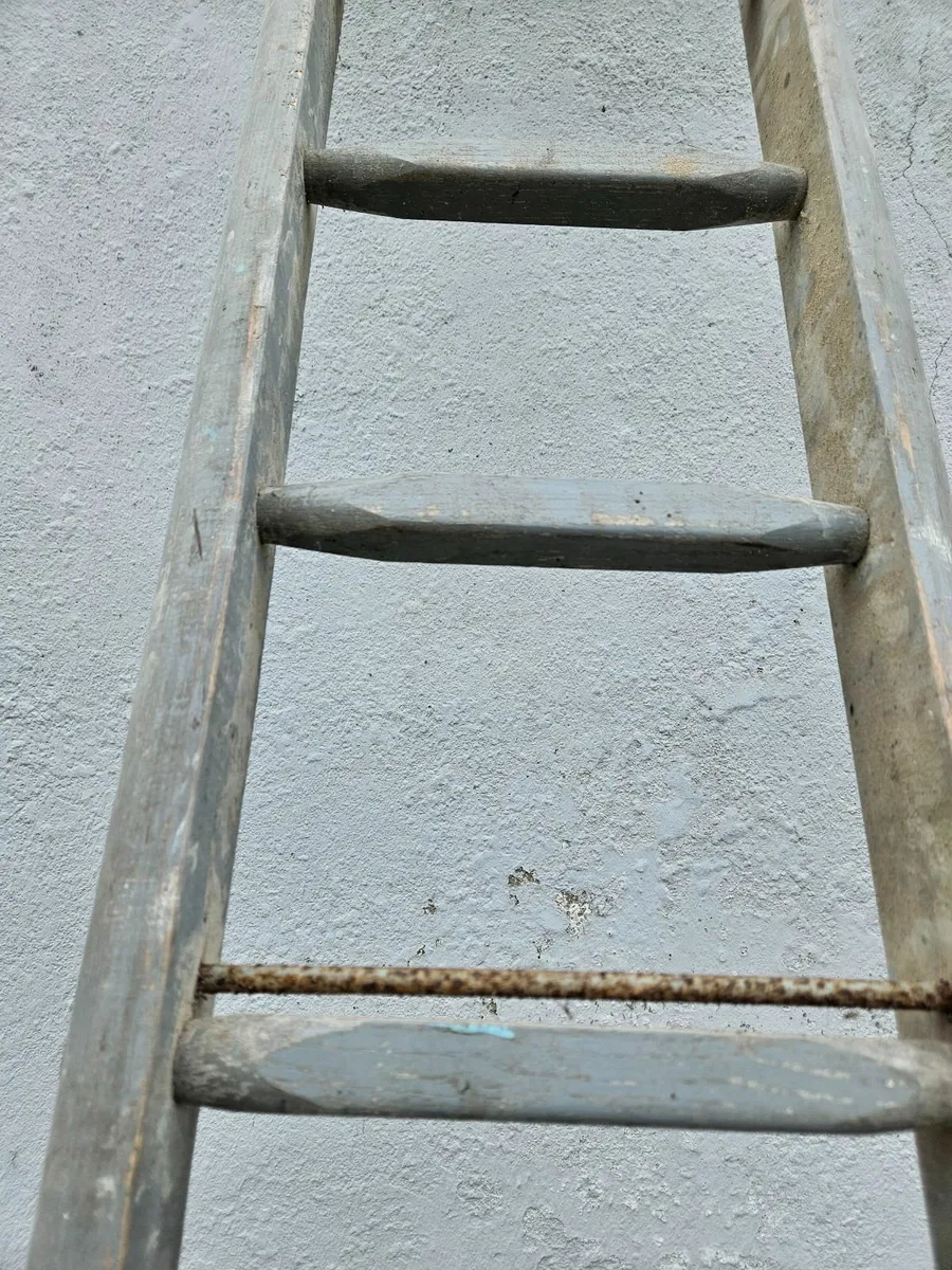 12' Ladder - Image 3