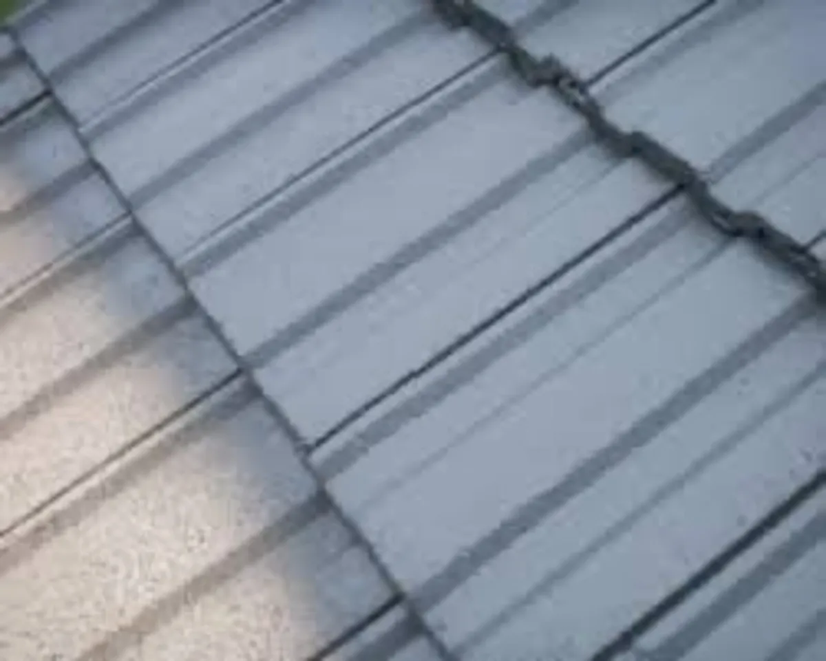 Roof/driveway paint - Image 4