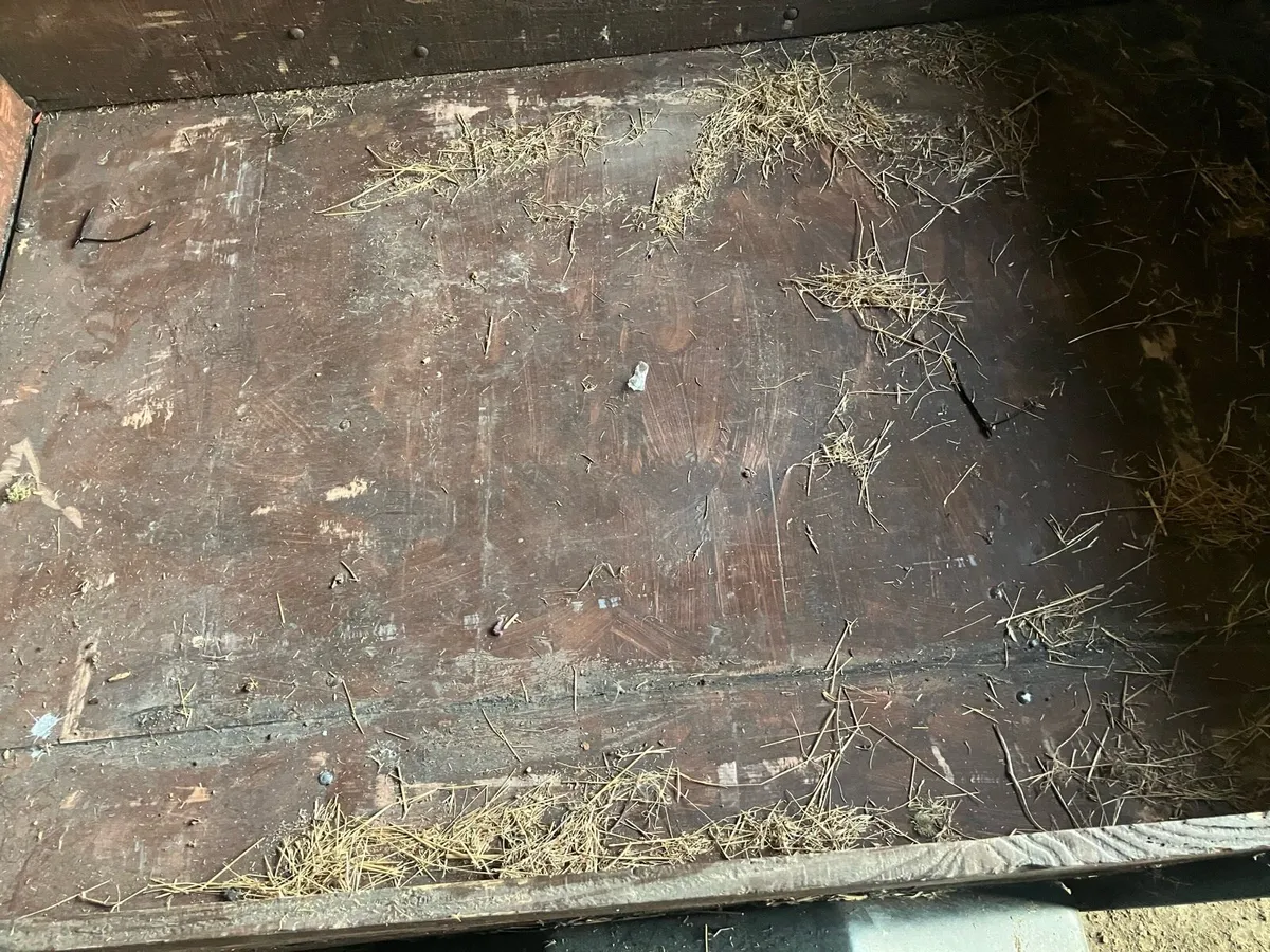 Trailer - Image 4