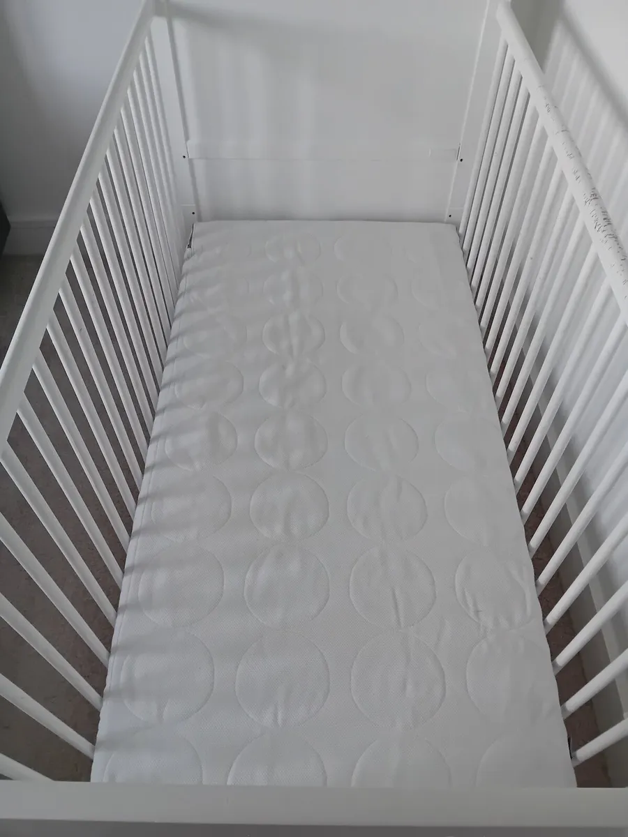 Cot - Image 3