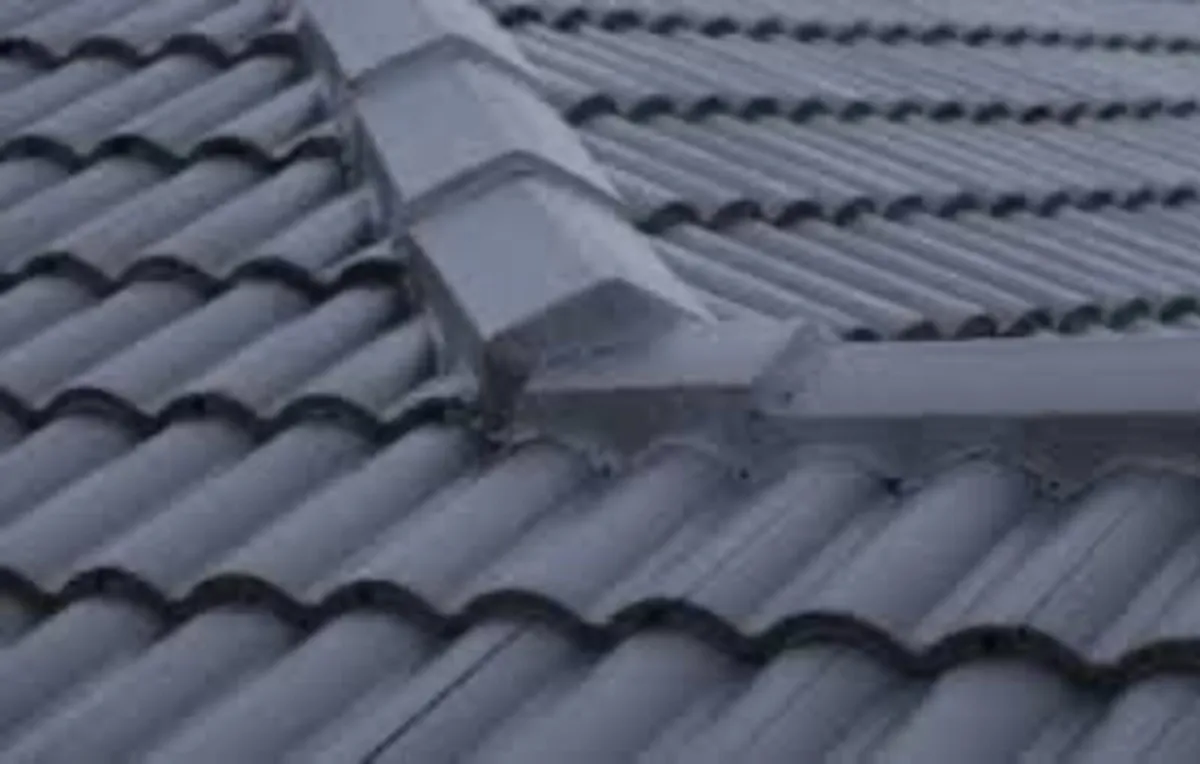Roof/driveway paint - Image 1