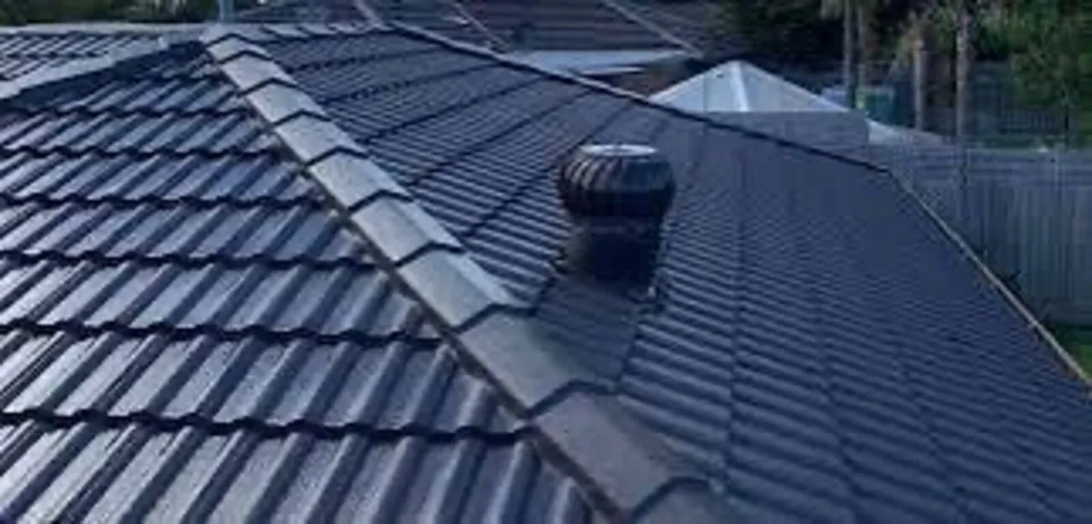 Roof/driveway paint - Image 2