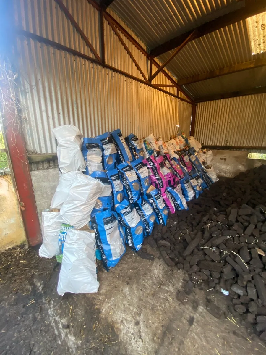 Firewood - Image 1