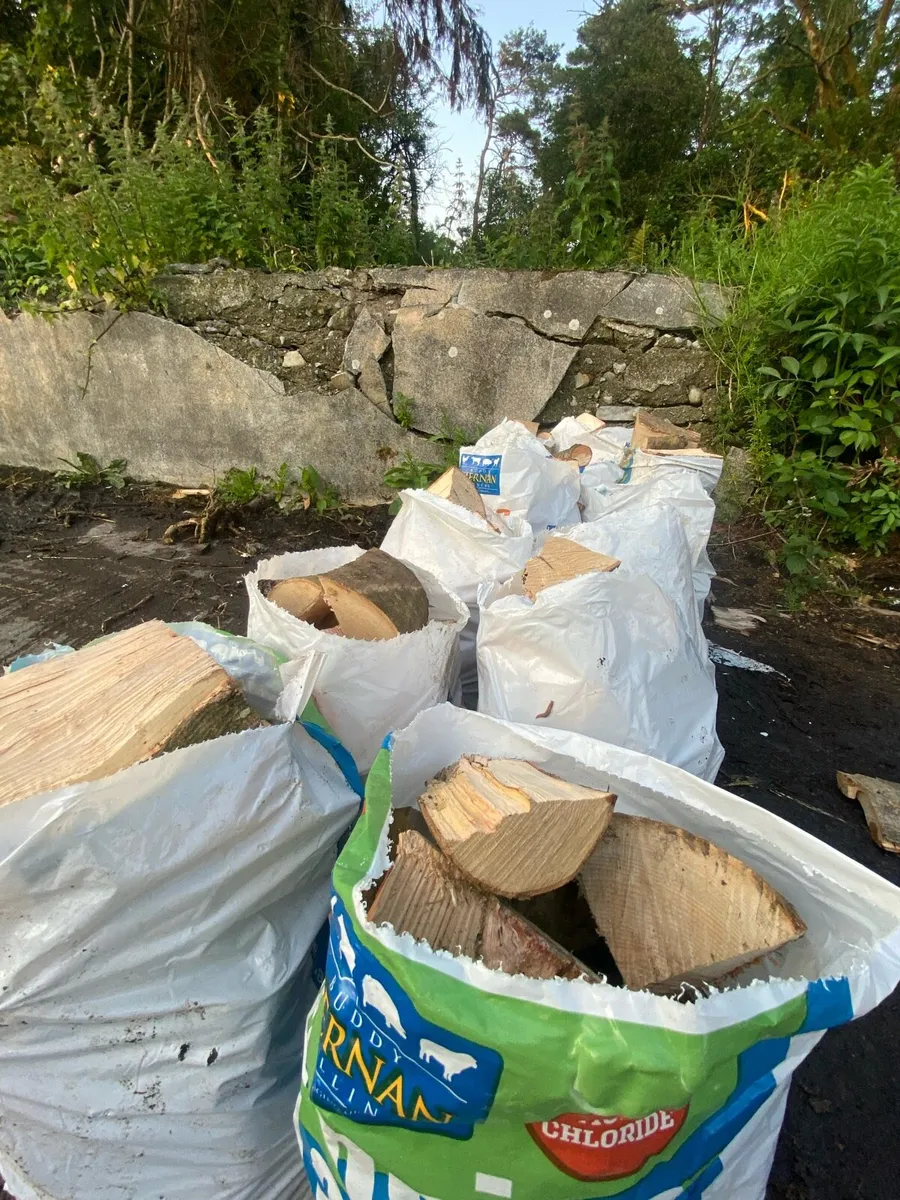 Firewood - Image 2