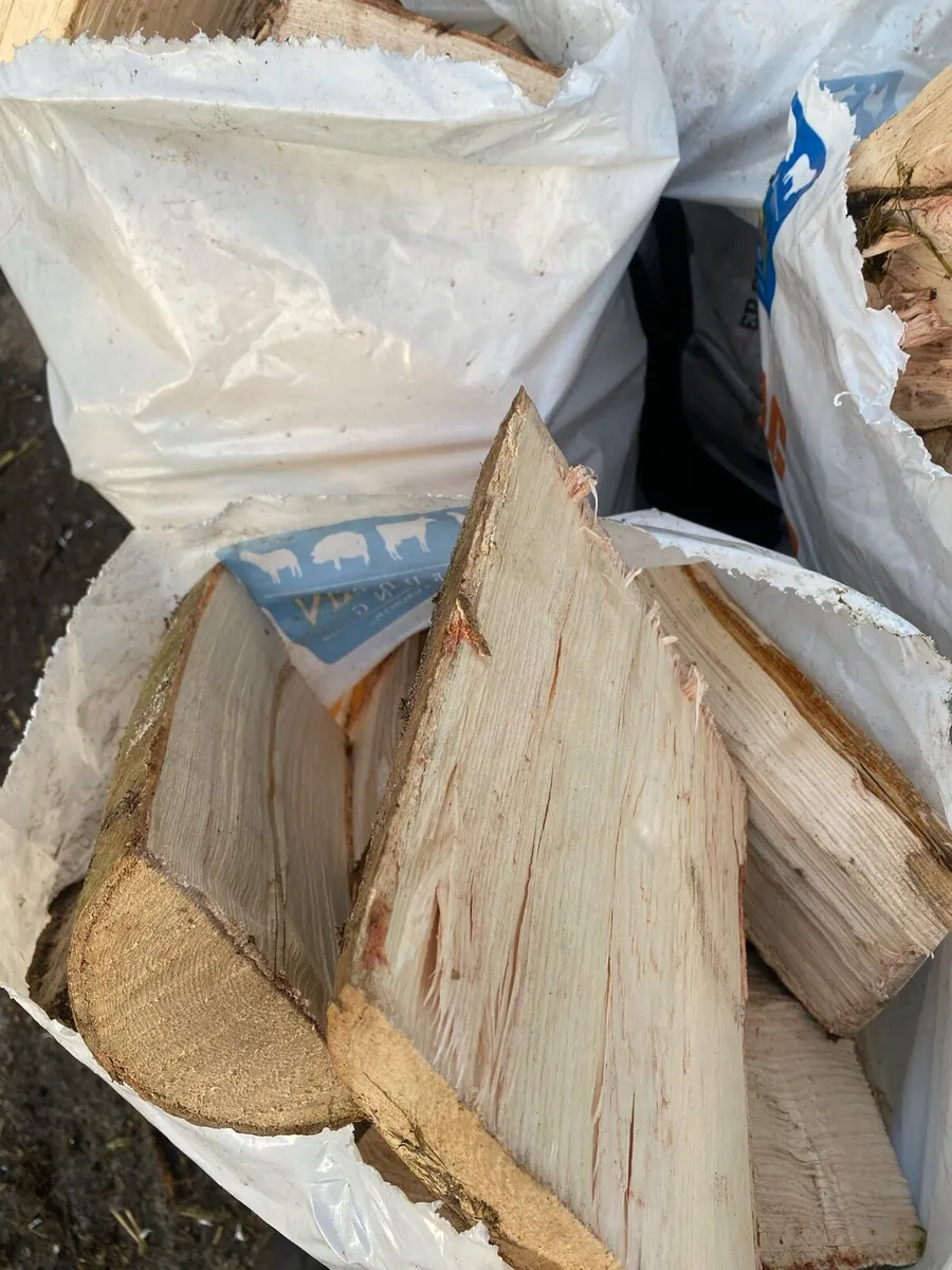 Firewood - Image 3