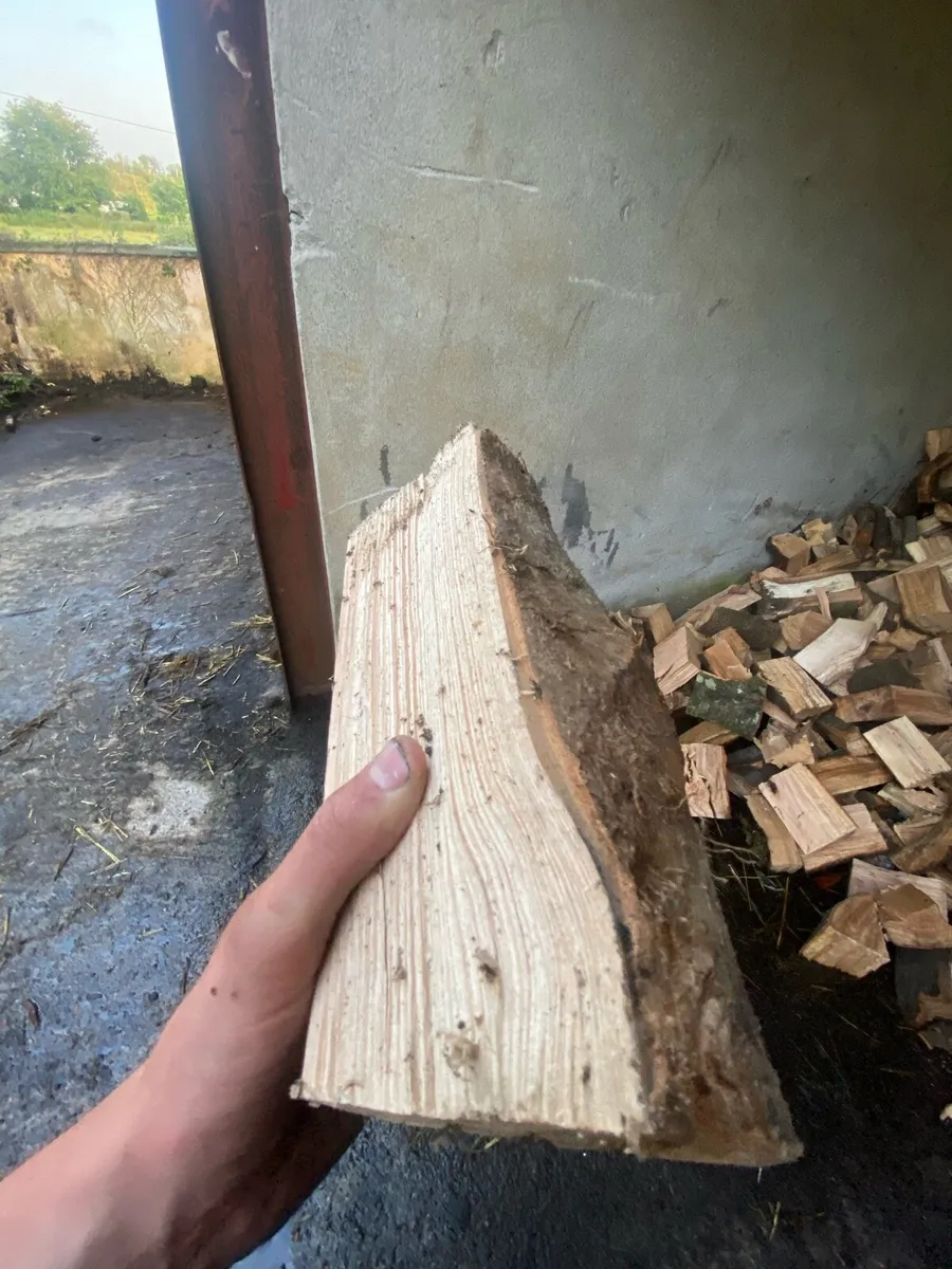 Firewood - Image 4