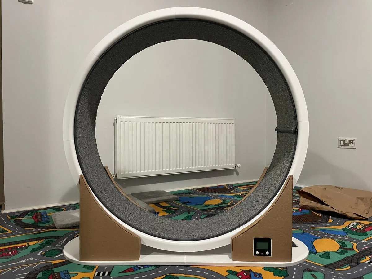 Cat running wheel - Image 1