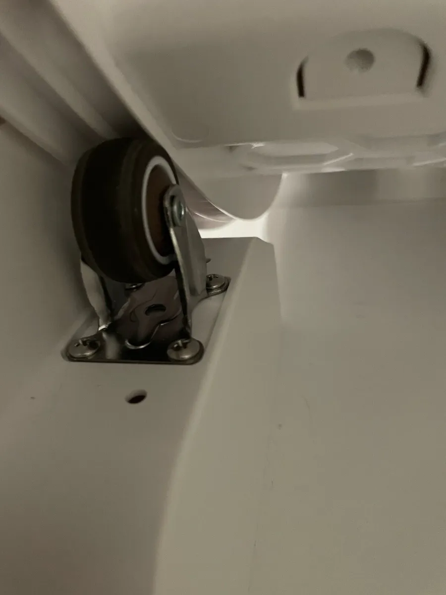 Cat running wheel - Image 2