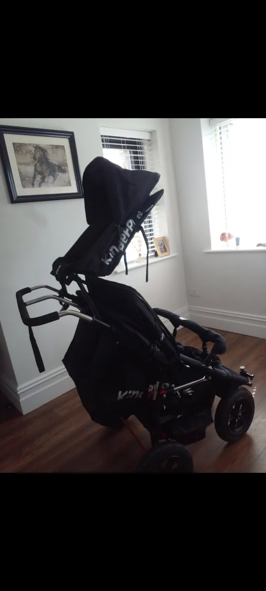 Triple/quad pram - Image 1