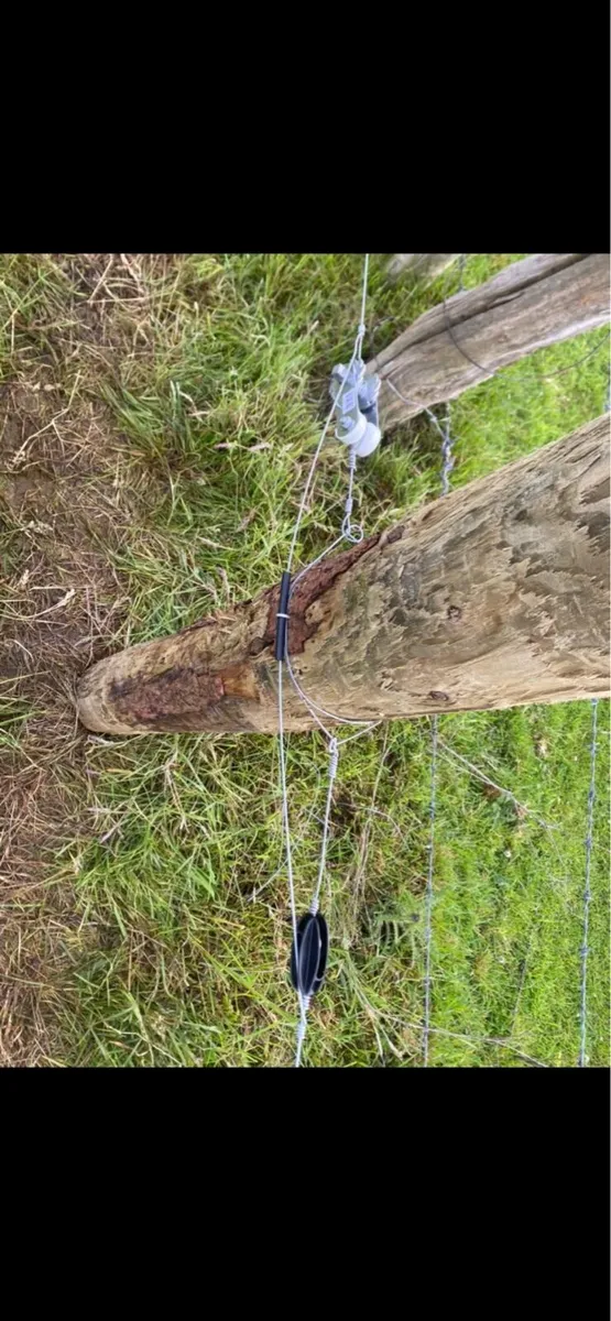 Fencing contractor - Image 3
