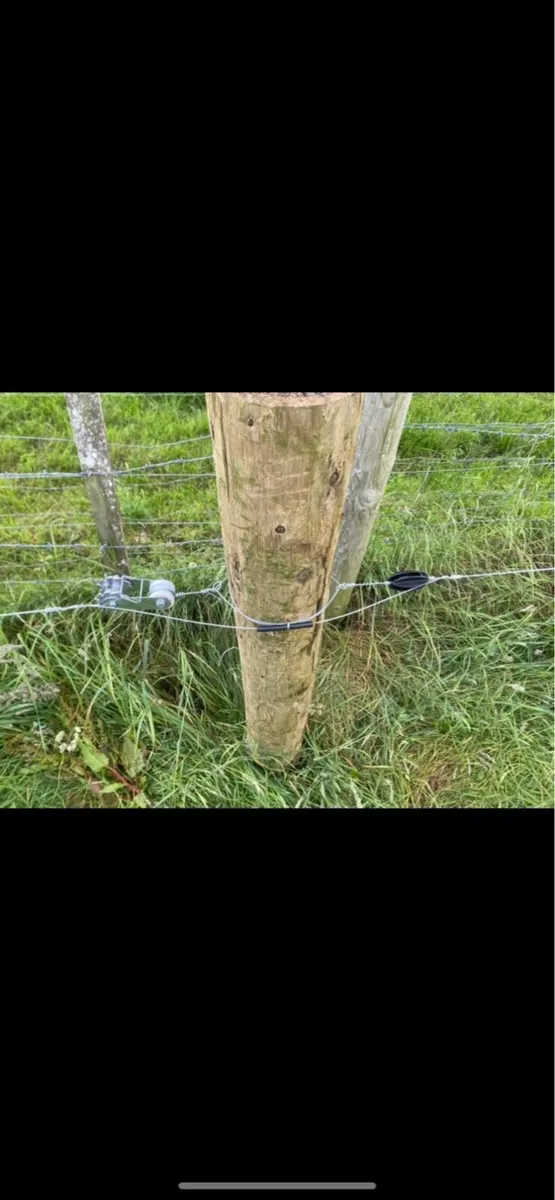 Fencing contractor - Image 4