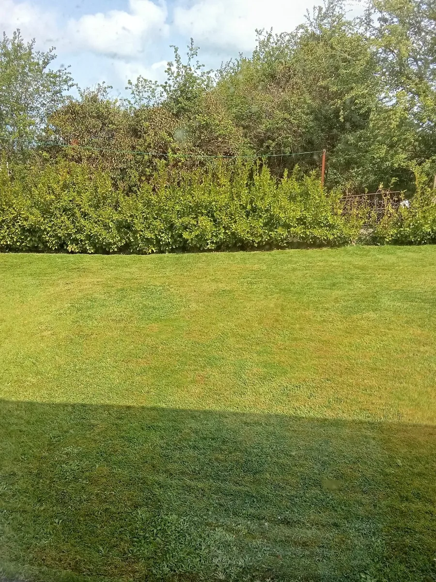I am available to cut lawns in the Ennis area - Image 2