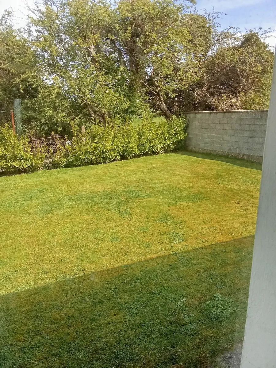 I am available to cut lawns in the Ennis area - Image 3
