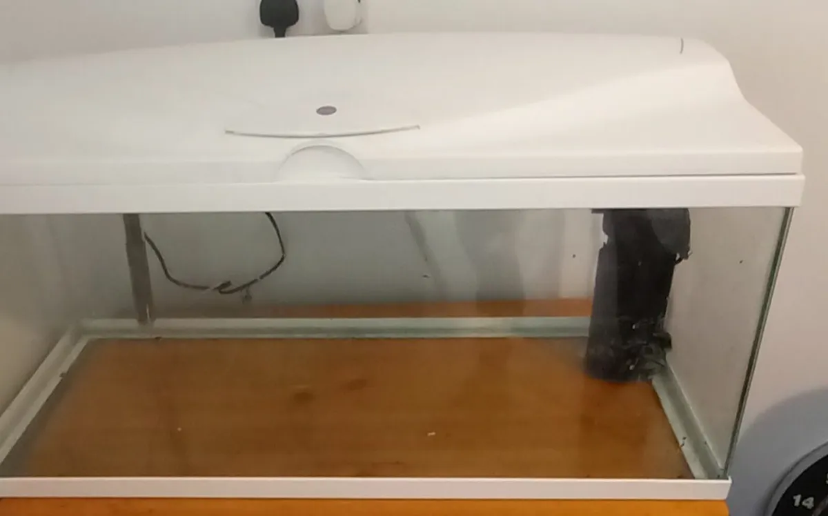 Large FishTank - Image 2