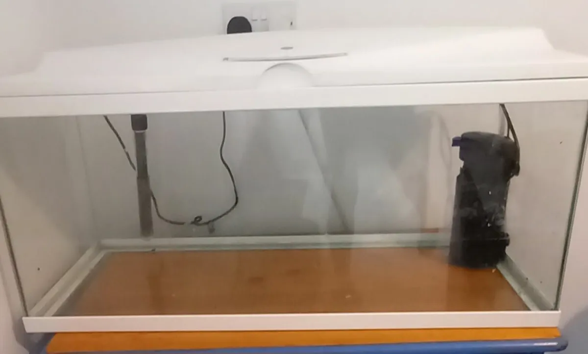 Large FishTank - Image 1
