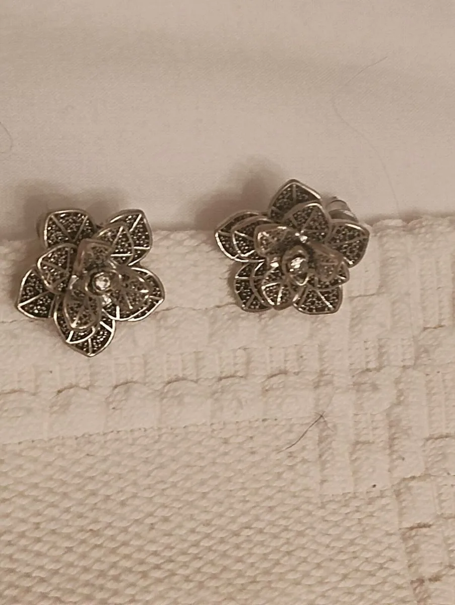 Beautiful earrings, - Image 1