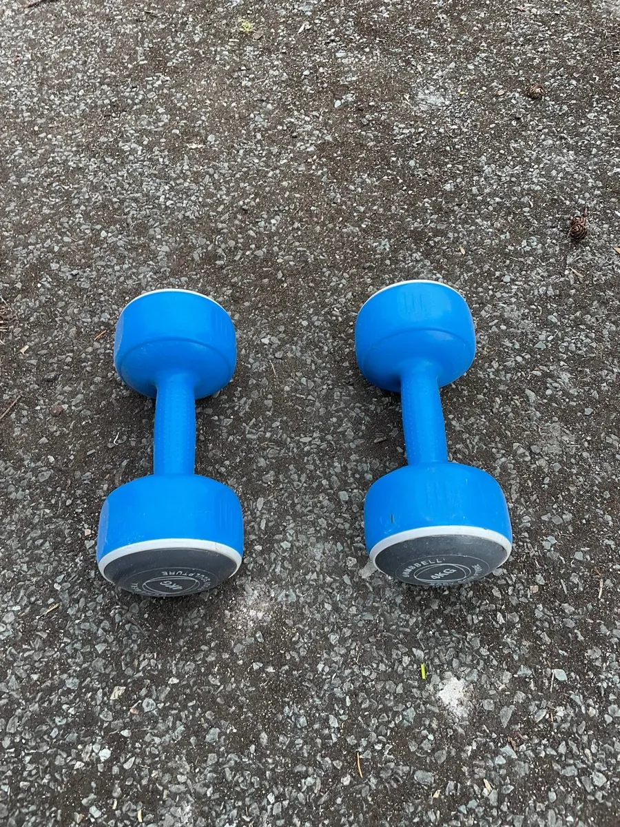 2 like new weights 4 kg each - Image 1