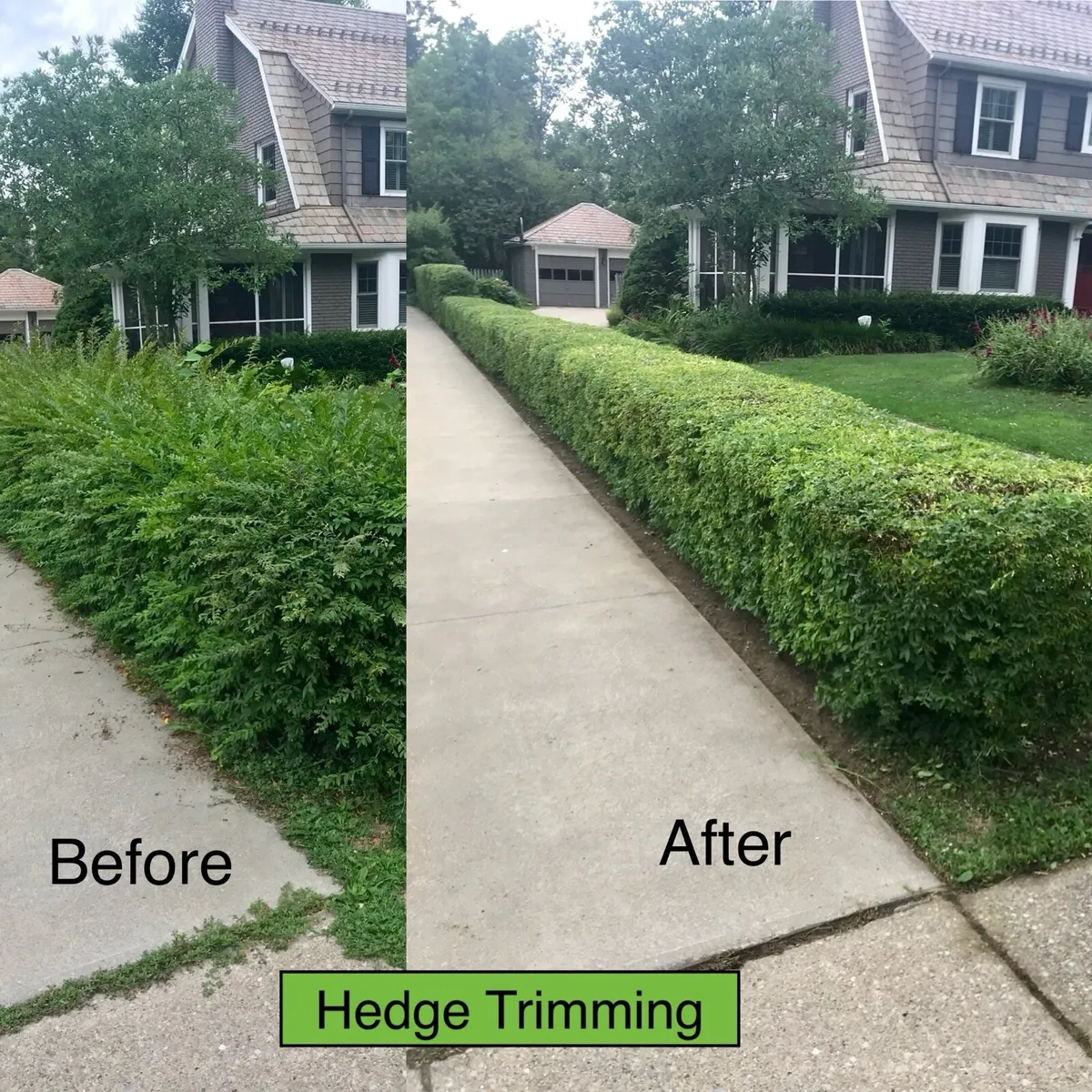 Pressure washing/Garden service - Image 2