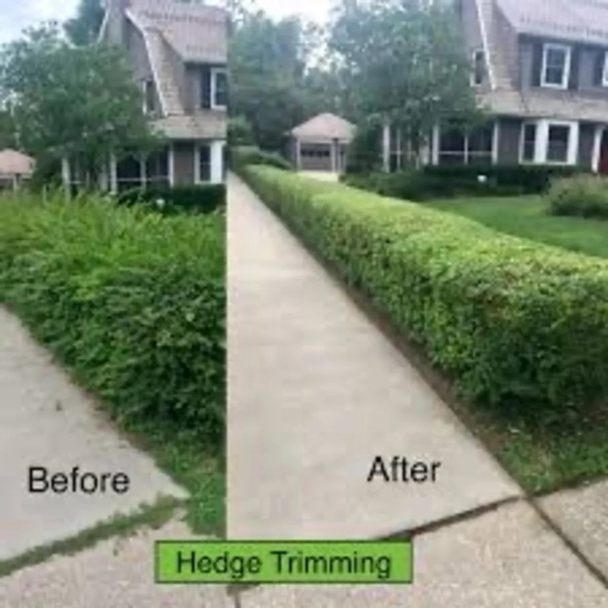 Pressure washing/Garden service - Image 4