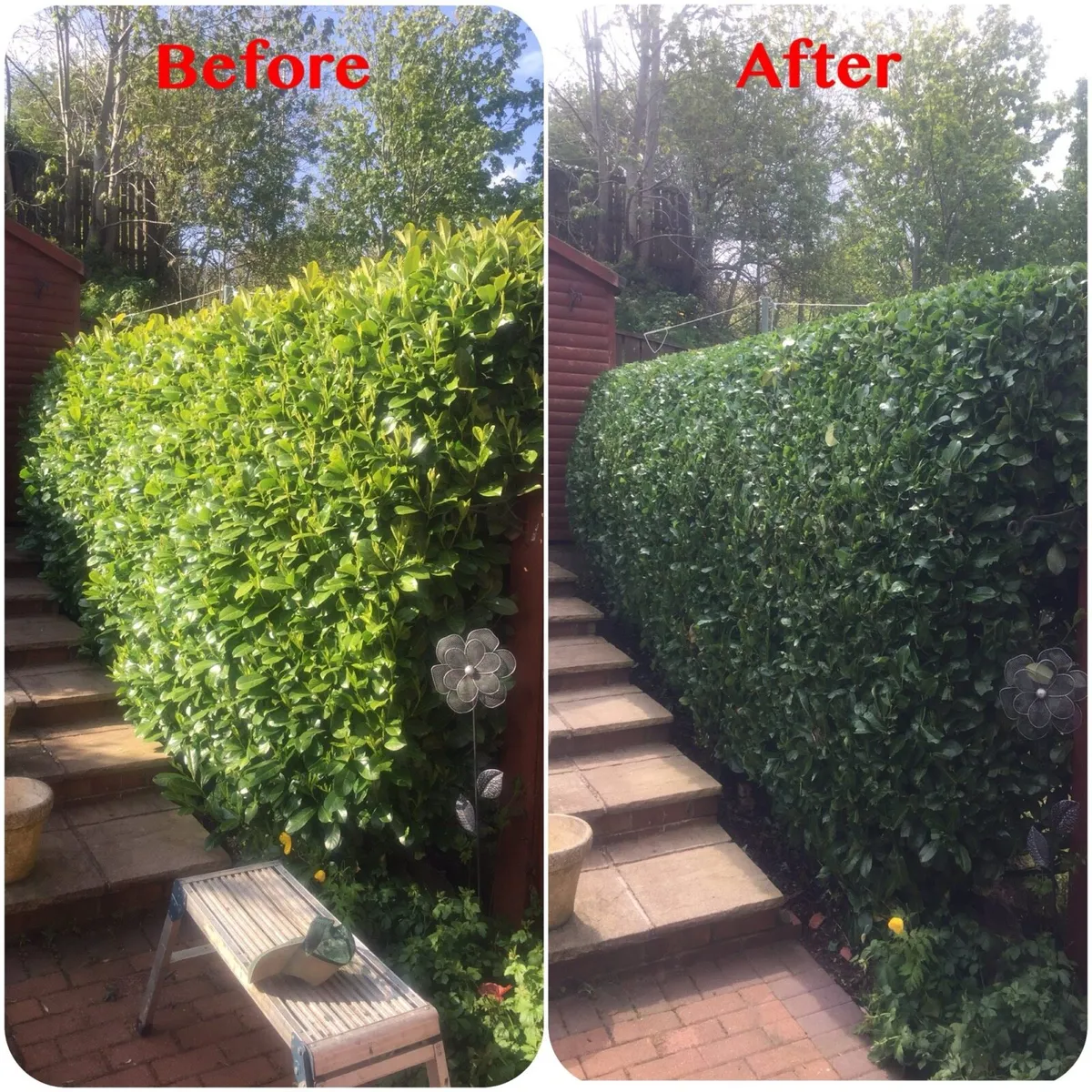 Pressure washing/Garden service - Image 3