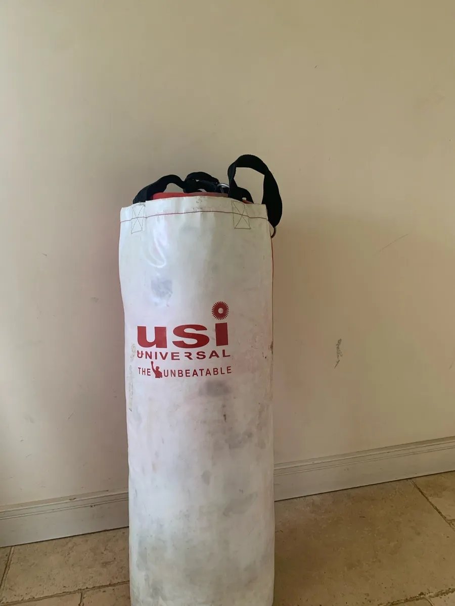 Boxing bag - Image 2