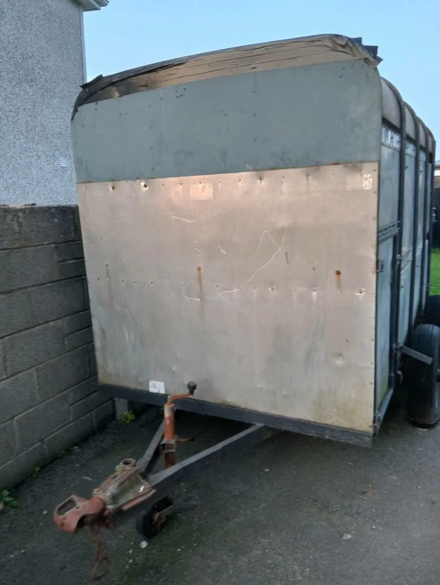 Ifor Williams cattle box 10x5 - Image 1