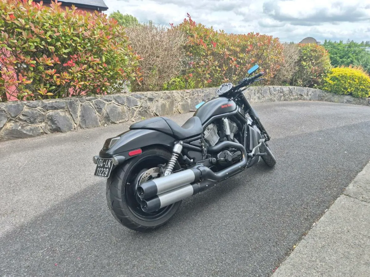 Harley Davidson VRSC V - Rod Nightrod - Image 1