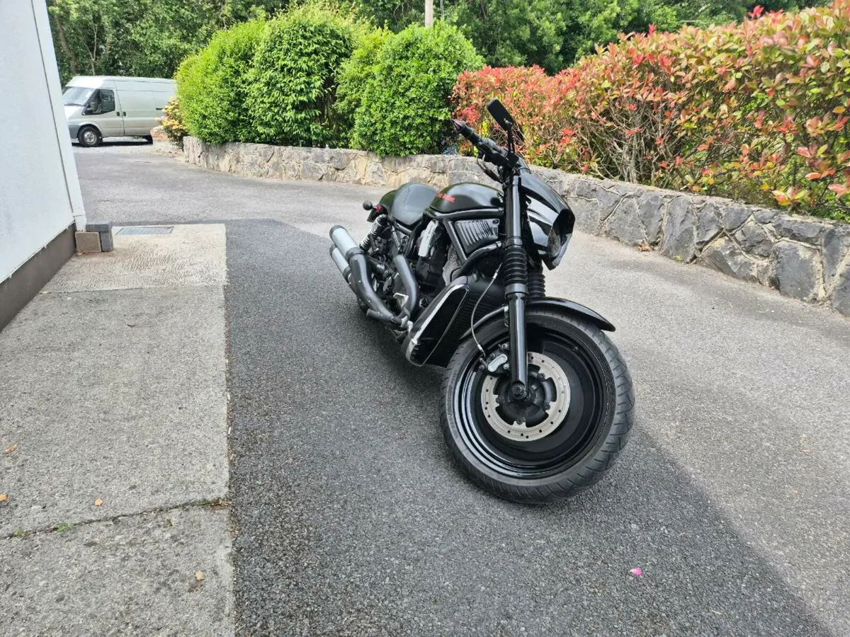 Harley Davidson VRSC V - Rod Nightrod - Image 2