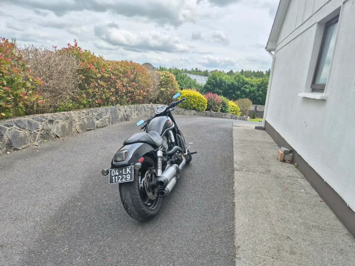 Harley Davidson VRSC V - Rod Nightrod - Image 4