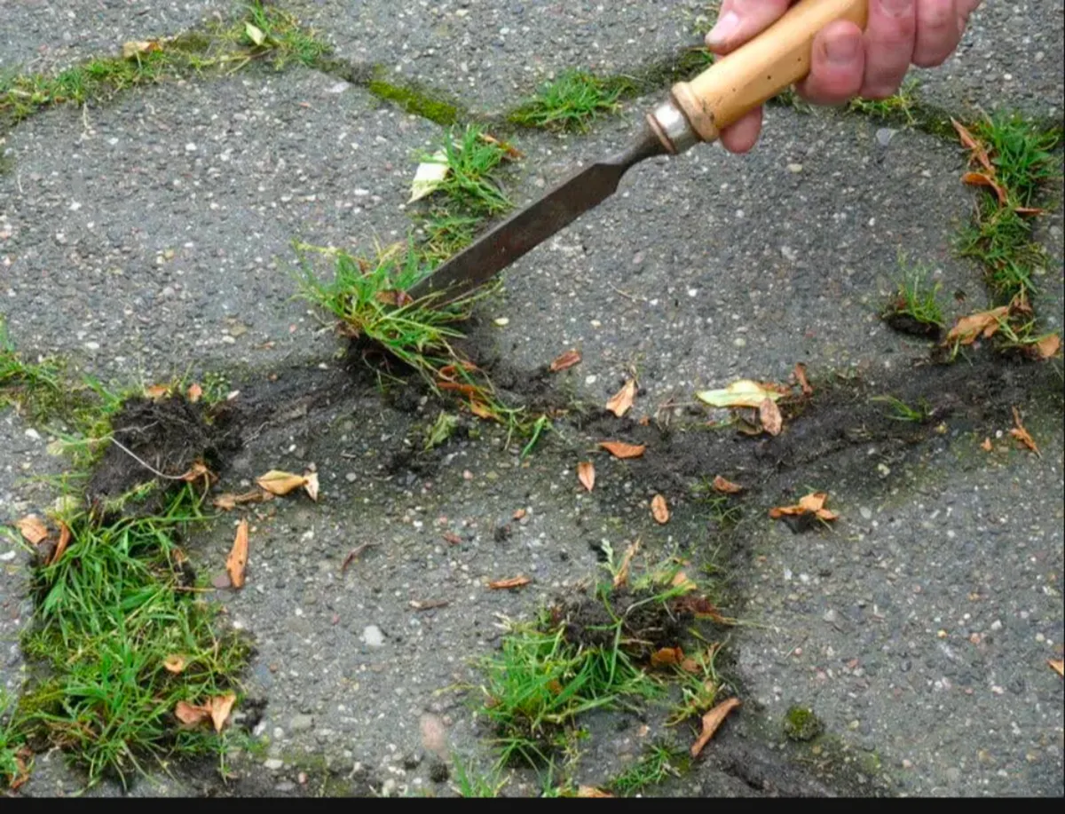 Handyman Wanted - Image 3