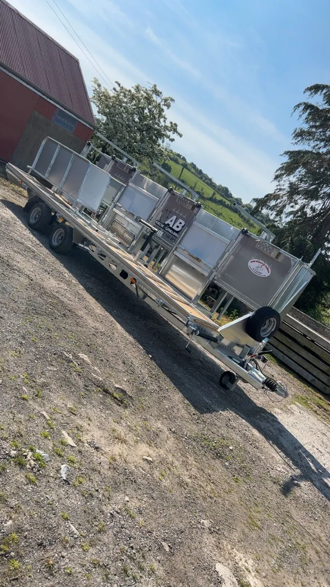 Shearing and mobile plunge dipping - Image 2