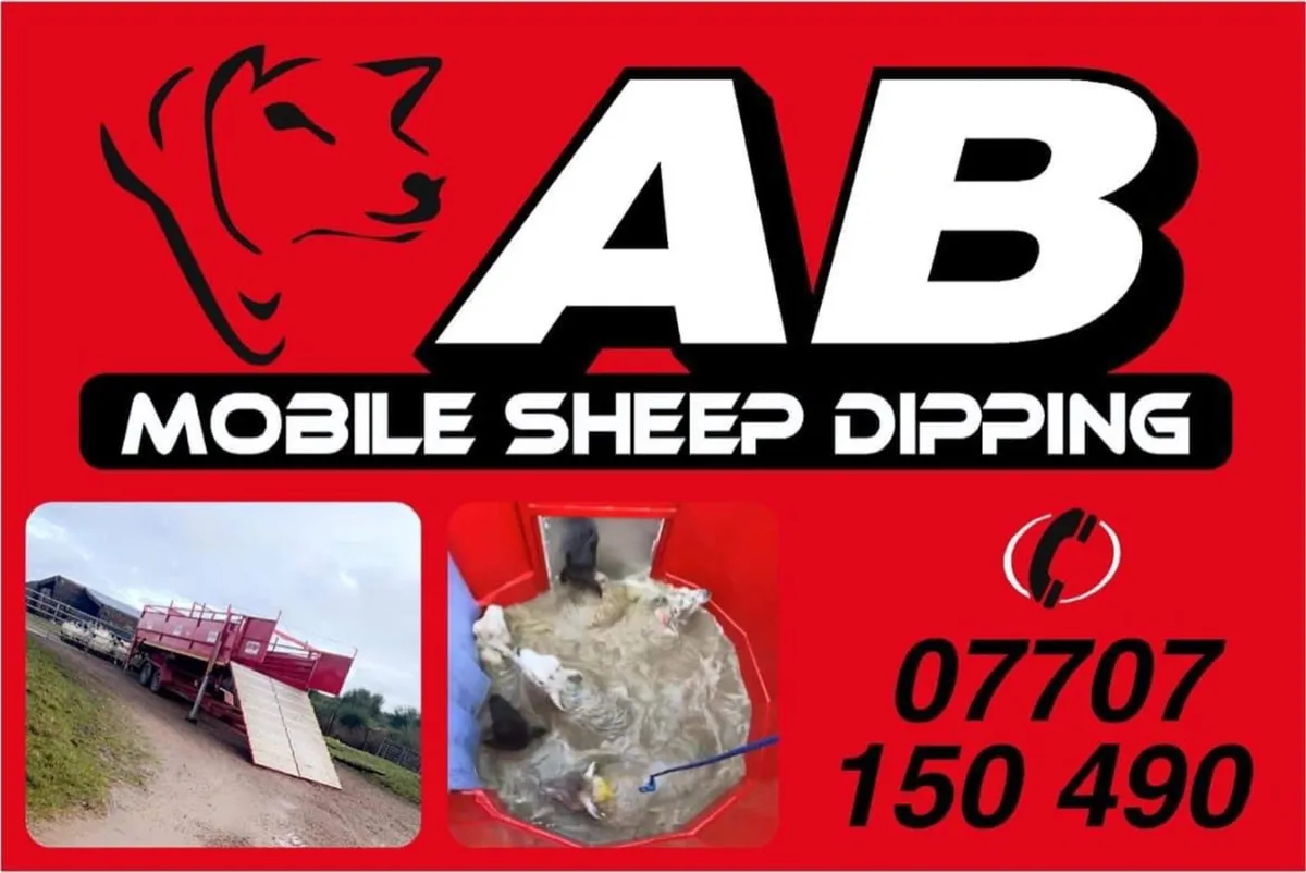 Shearing and mobile plunge dipping - Image 1